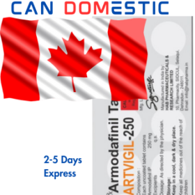Artvigil 250mg  CAN-CAN Domestic